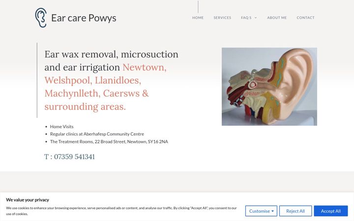 Screenshot of earcarepowys.com