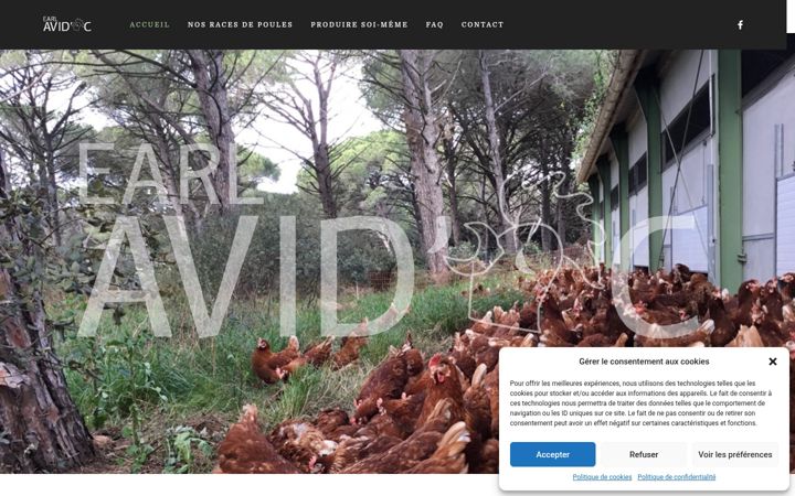Screenshot of earl-avidoc.fr