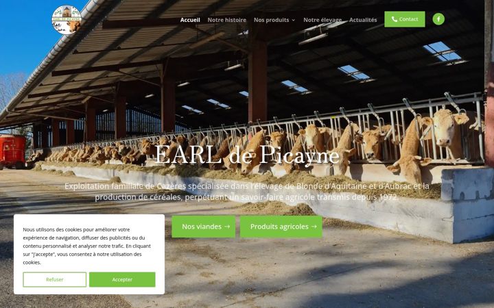 Screenshot of earl-depicayne.fr