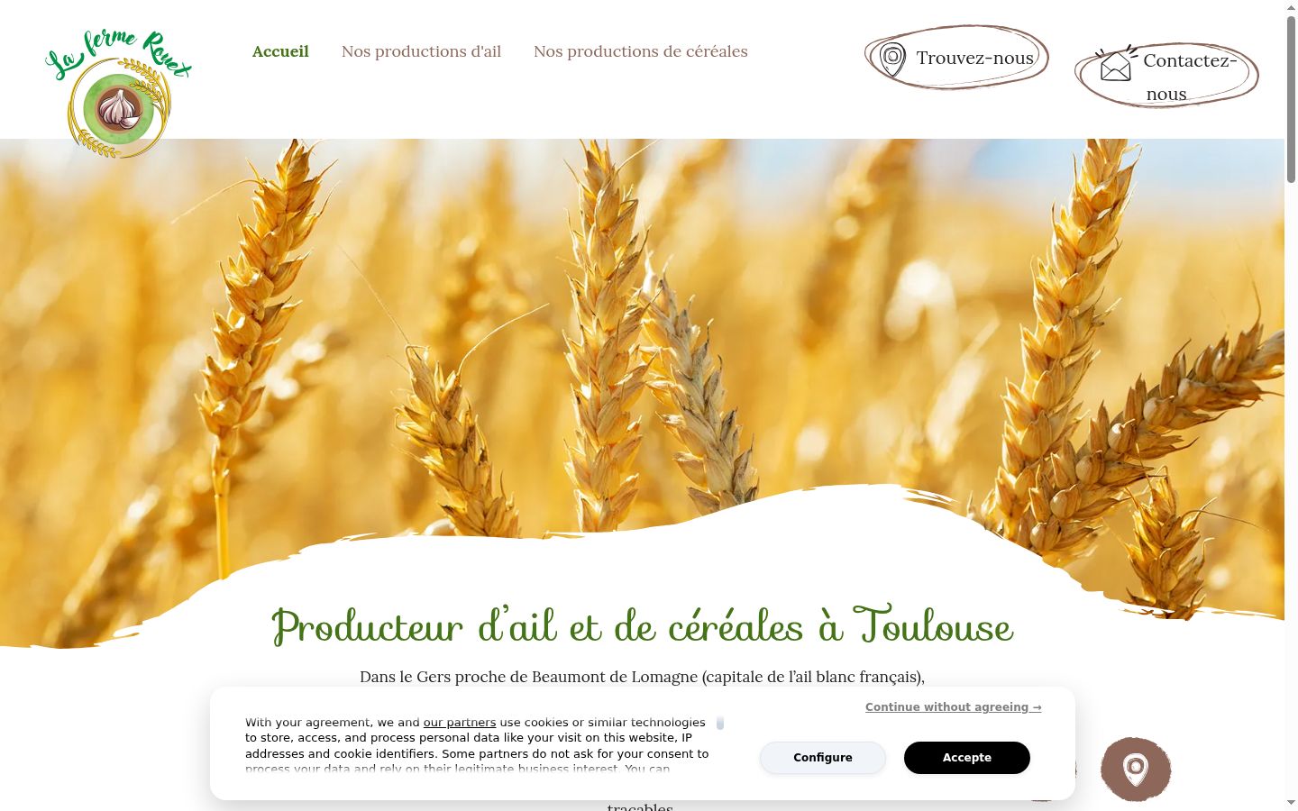 Screenshot of the consent banner shown before any interaction