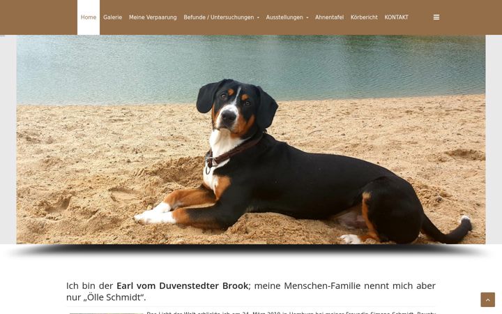 Screenshot of earl-vom-duvenstedter-brook.de