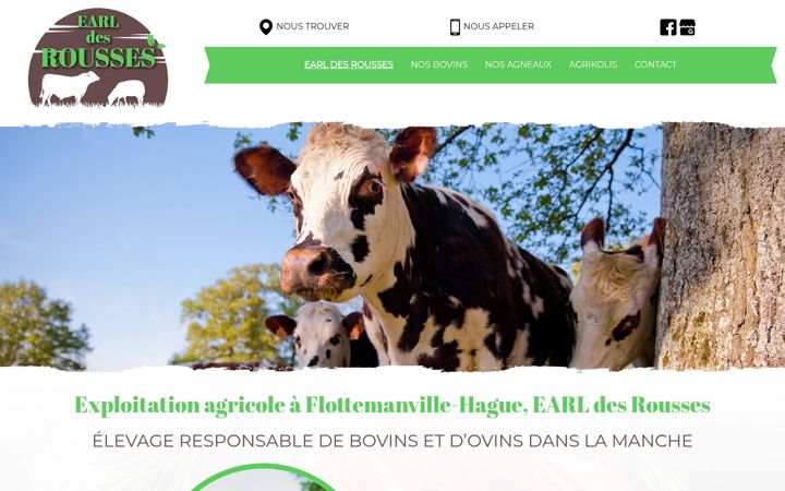 Screenshot of earldesrousses.fr