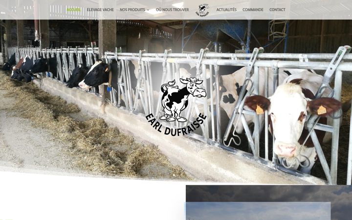 Screenshot of earldufraisseproduitslaitiers.fr