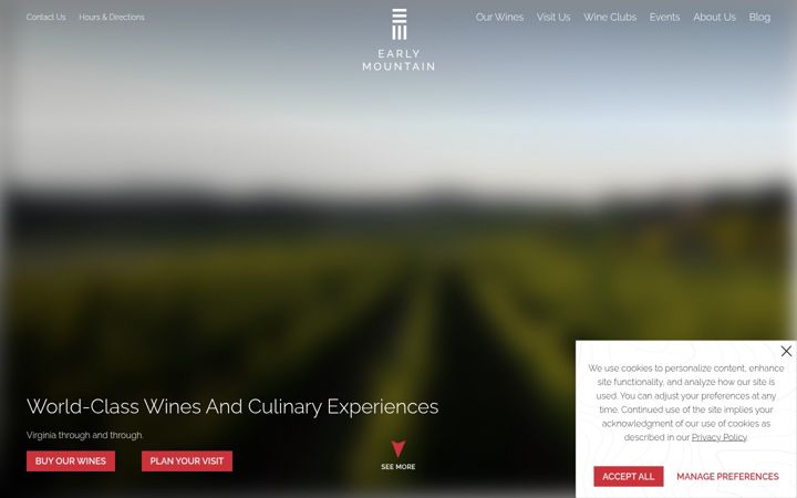 Screenshot of earlymountain.com