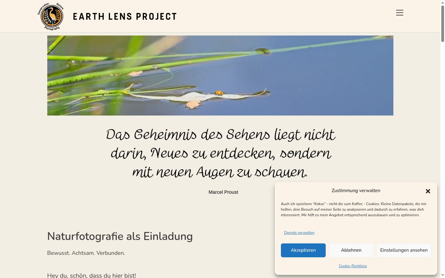 Sutikimo reklamjuostės, rodytos prieš bet kokią sąveiką, ekrano kopija