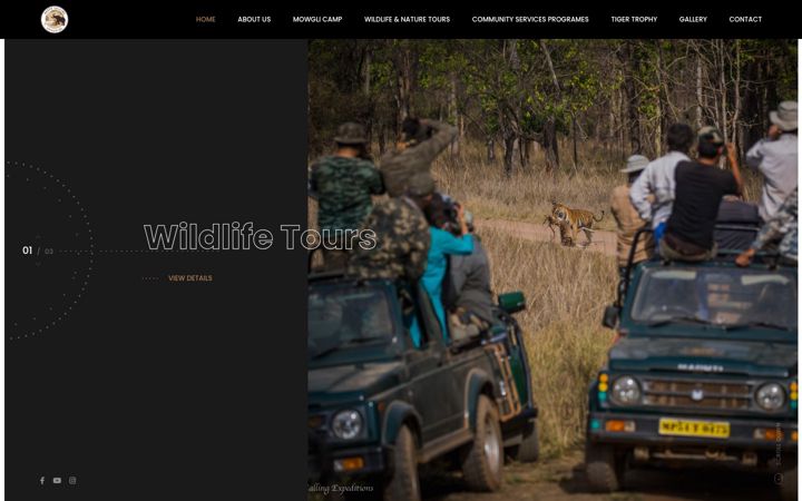 Screenshot of earthcallingexpeditions.com