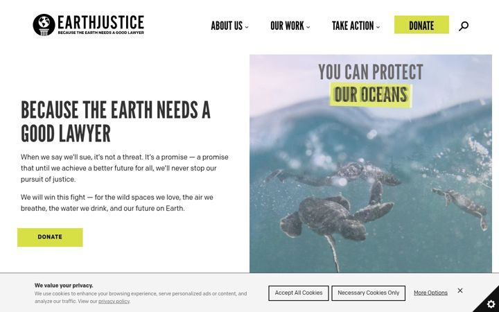 Skärmbild av earthjustice.org