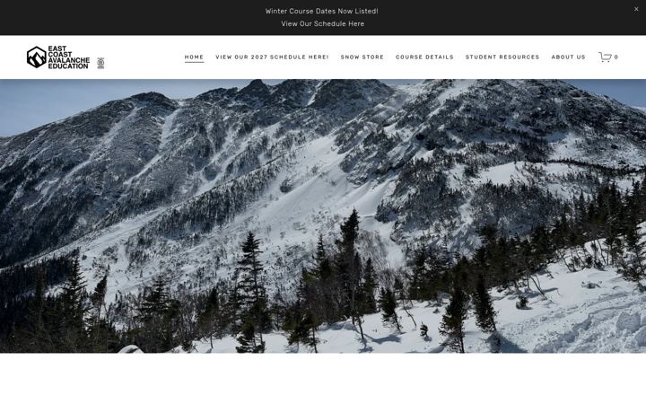 Screenshot of eastcoastavalancheeducation.com