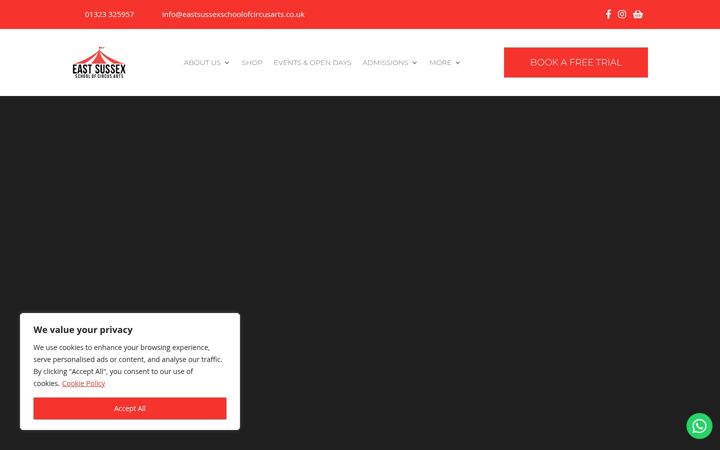 Screenshot of eastsussexschoolofcircusarts.co.uk