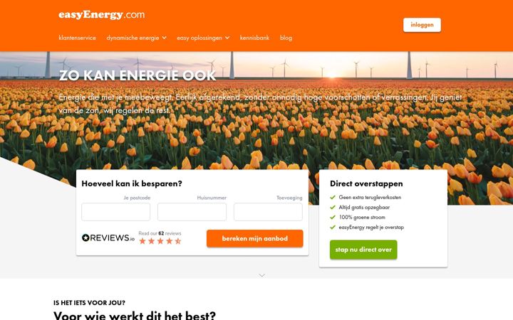 Skjámynd af easyenergy.com
