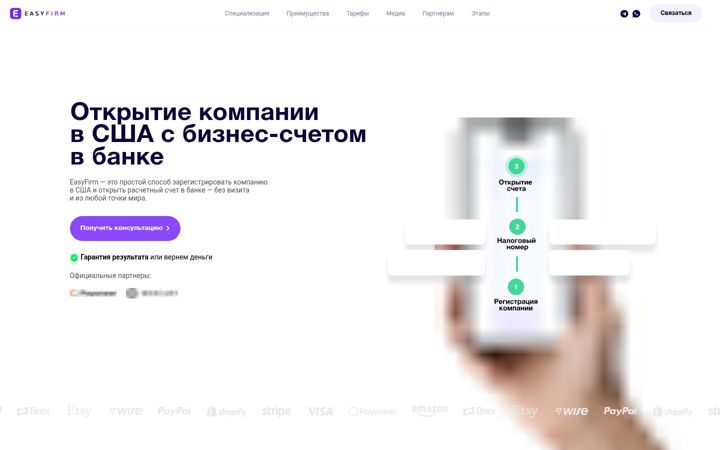 Screenshot of easyfirm.org