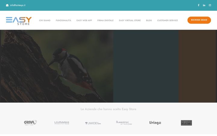 Ekrānuzņēmums no easystoreweb.it