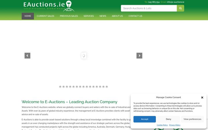 Skärmbild av eauctions.ie