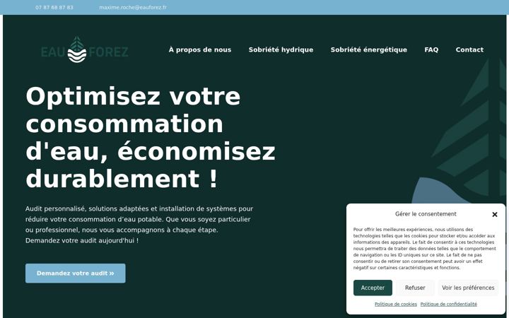 Screenshot of eauforez.fr