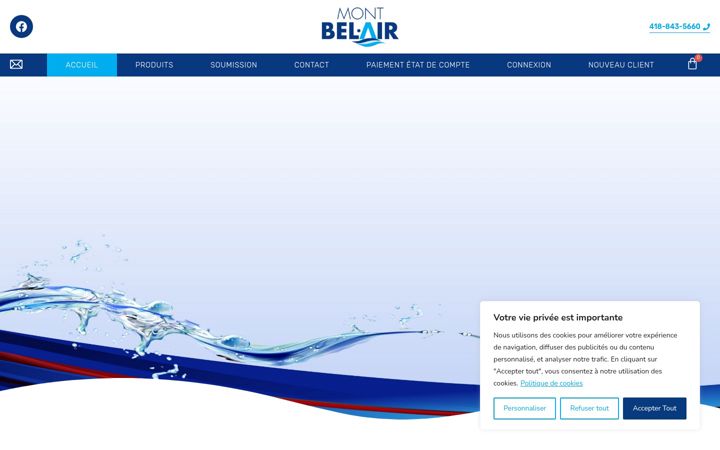 Screenshot of eaumontbelair.com