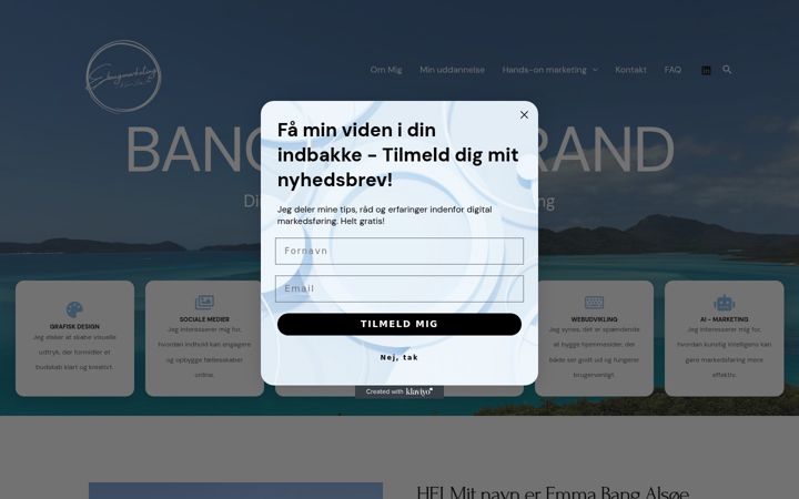 Screenshot of ebangmarketing.dk