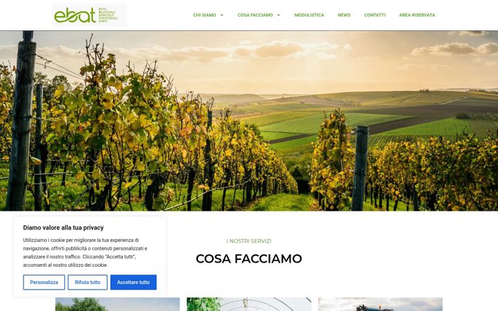 Screenshot of ebatchieti.it