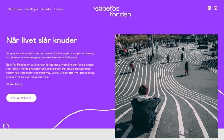 Screenshot of ebbefosfonden.dk