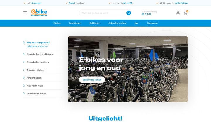 Screenshot di ebikegroothandel.nl