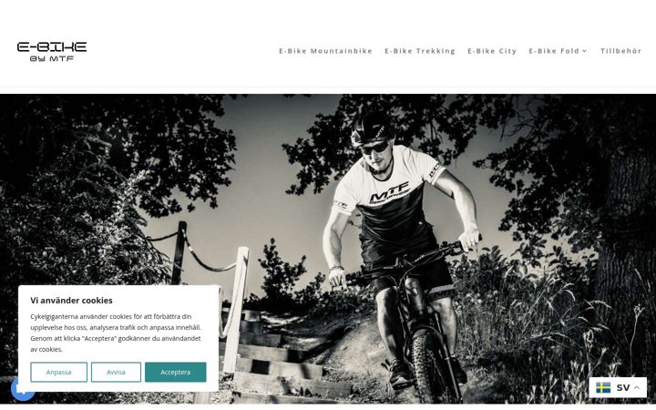 Screenshot von ebikeshop.se
