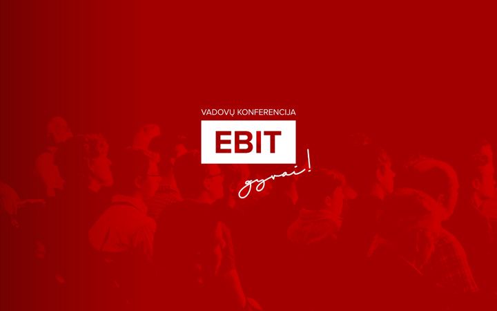 Snímek obrazovky ebitgyvai.lt