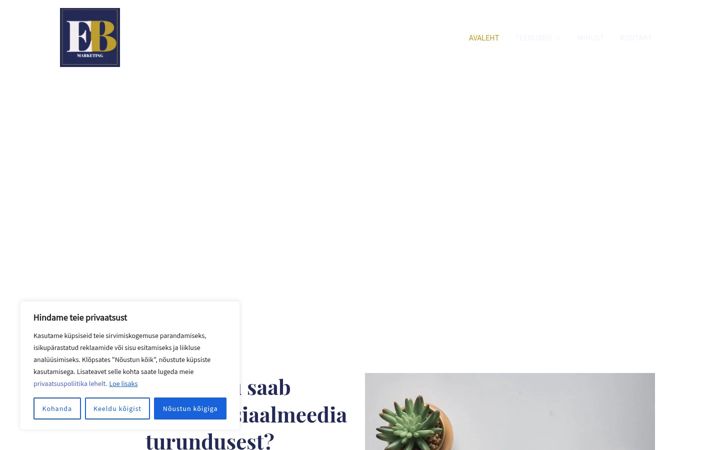 Screenshot of ebmarketing.ee