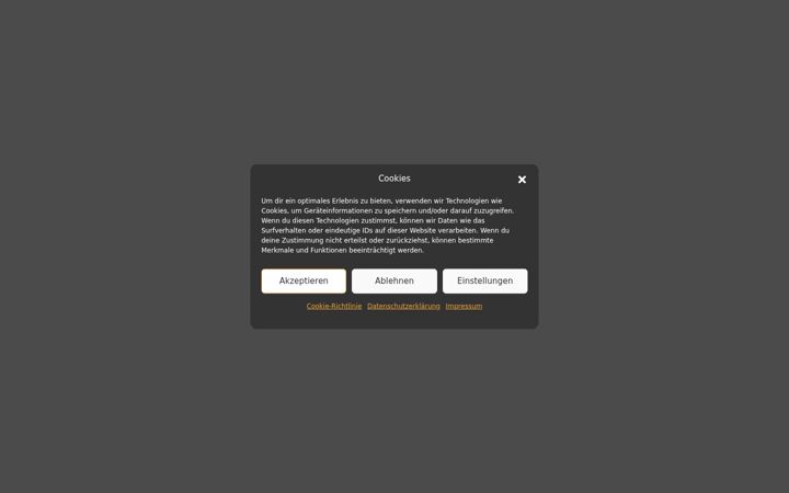 Screenshot of ebo-ivy.de