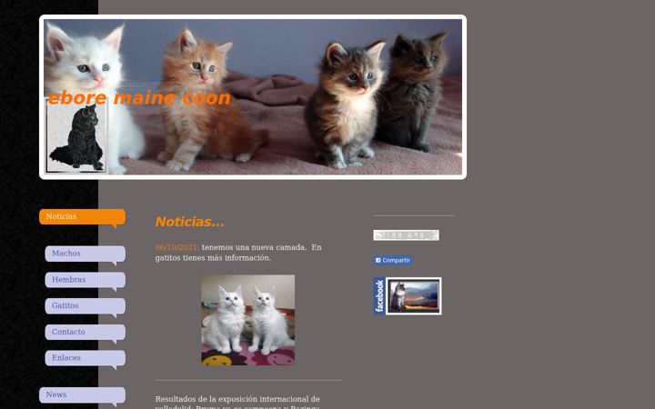 Screenshot di eboremainecoon.com