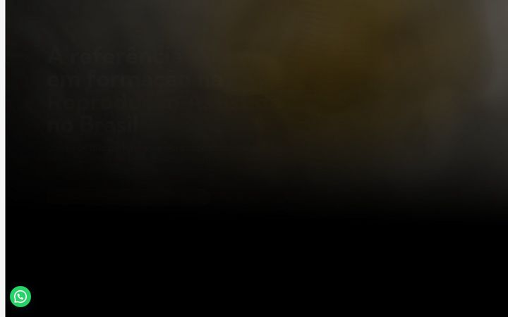 Screenshot of ebra.med.br