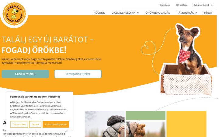 Ekraanipilt saidist ebremeny.hu