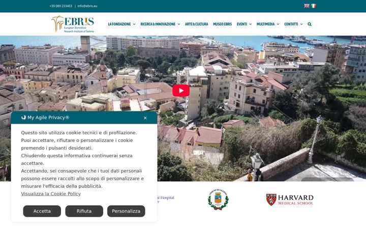 Screenshot of ebris.eu