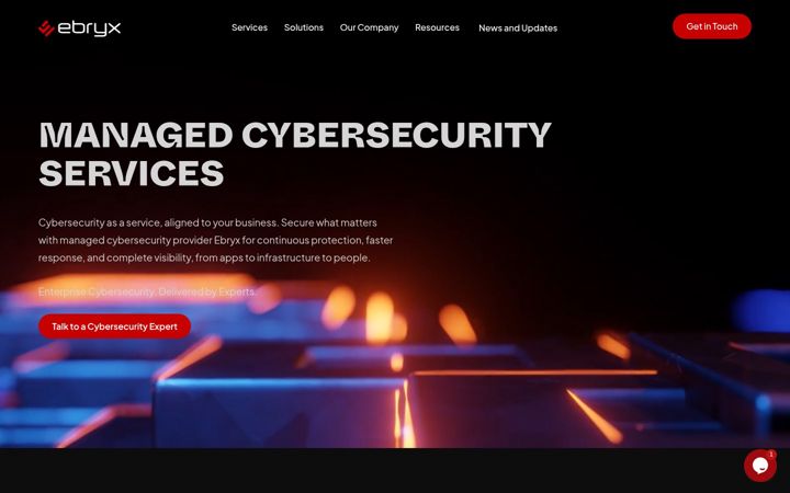 Screenshot of ebryx.com