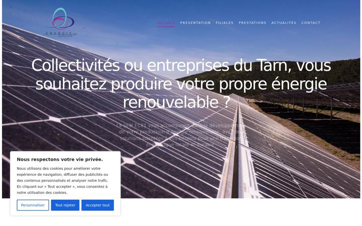 Screenshot of ec81.fr