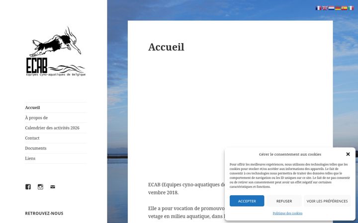 Screenshot of ecabelgique.com