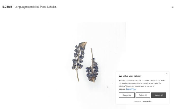 Screenshot of ecbelli.com