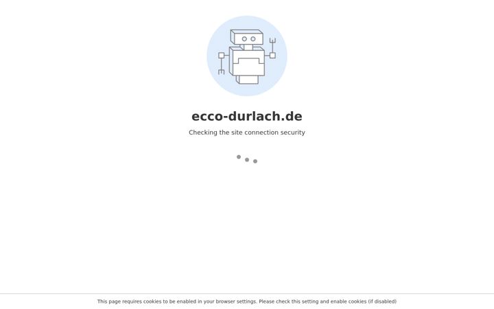Screenshot of ecco-durlach.de