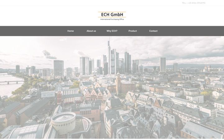 Screenshot of ech-marketing.com