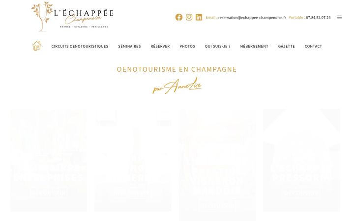 Screenshot of echappee-champenoise.fr