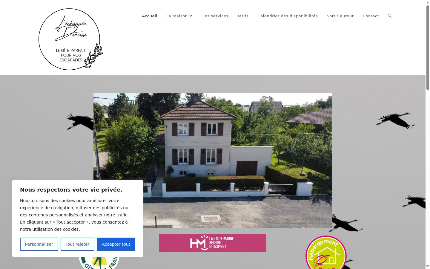 Sutikimo reklamjuostės, rodytos prieš bet kokią sąveiką, ekrano kopija