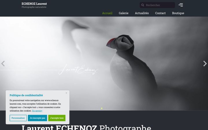 Screenshot of echenoz-laurent.com