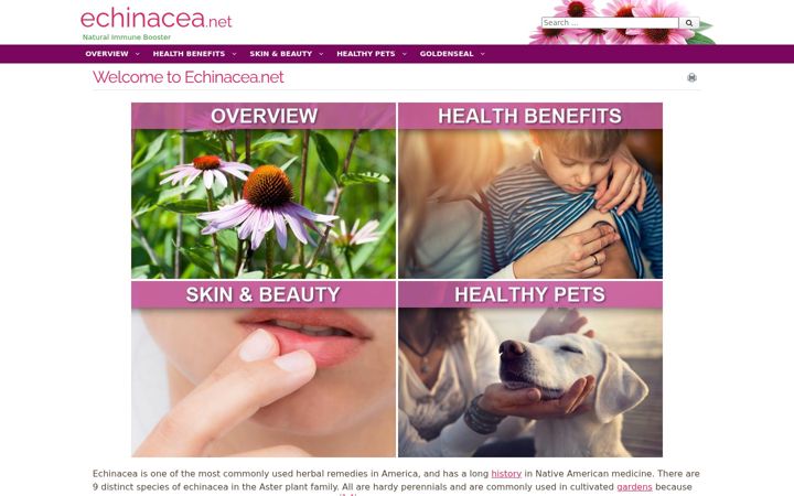 Captură de ecran a echinacea.net