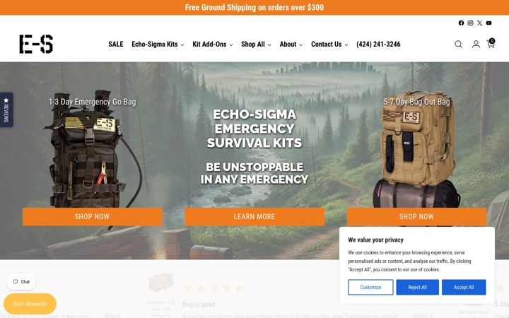 Screenshot of echo-sigma.com