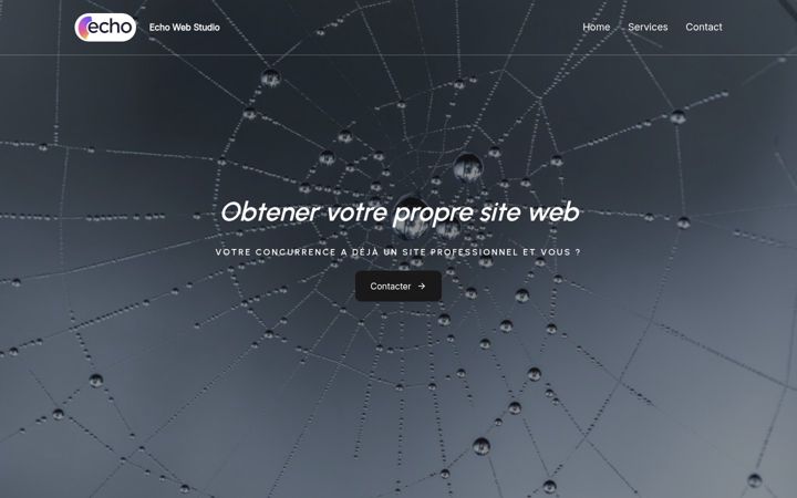 Screenshot of echo-web-studio.com