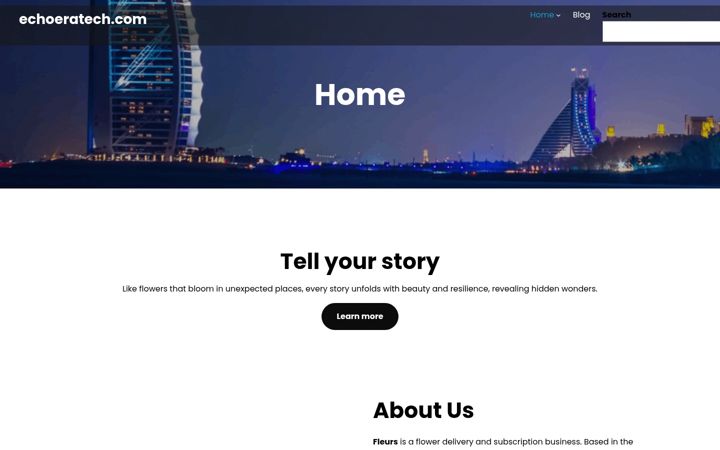 Screenshot of echoeratech.com