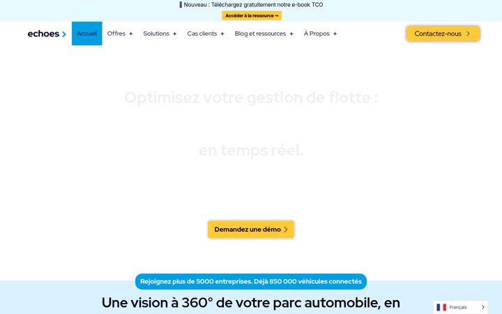 Screenshot of echoes.solutions