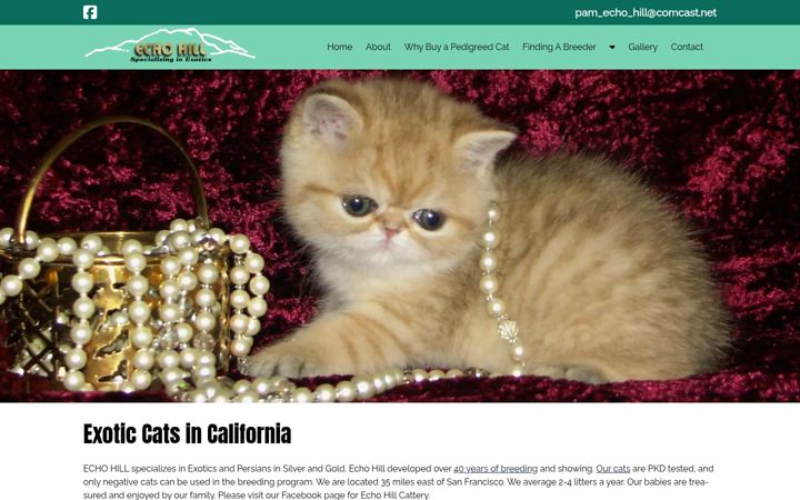 Screenshot of echohillcattery.com
