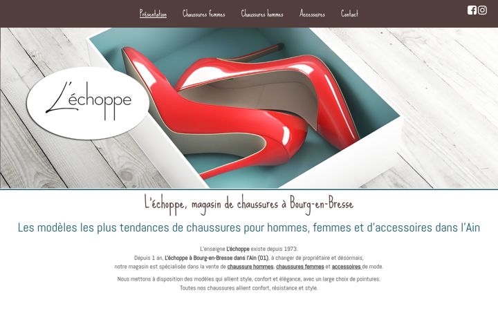 Screenshot of echoppe-01.fr