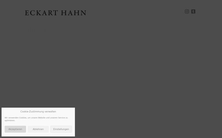 Screenshot of eckarthahn.com