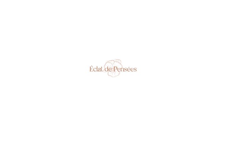 Zrzut ekranu eclatdepensees.fr