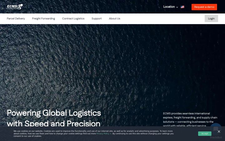Screenshot of ecmsglobal.com